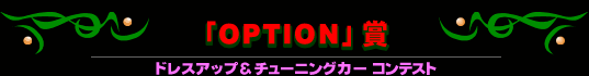 uOPTIONv܁khXAbv`[jOJ[ReXgl