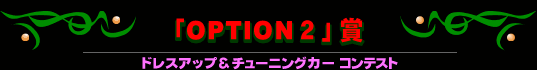 uOPTIONQv܁khXAbv`[jOJ[ReXgl