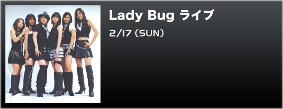 Lady Bug ���C�u 2/17(SUN)