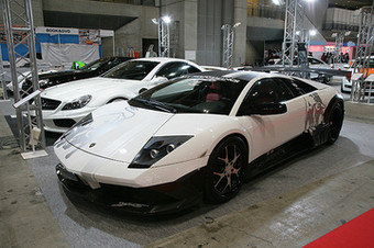 VITT SQUALO MURCIELAGO