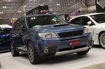 ALBERO CONCEPT FORESTER SH