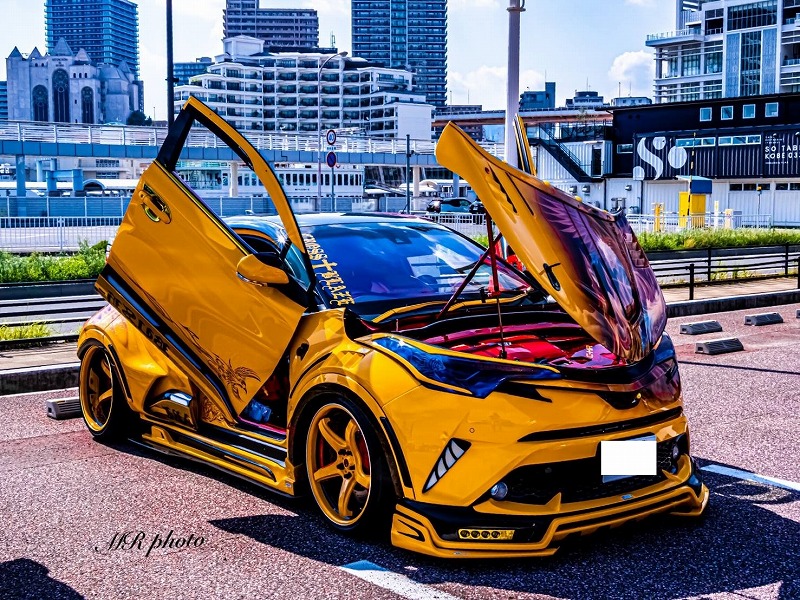 Rowen C-HR×BUSH-ART