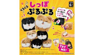 ●新商品●しっぽを引くと柴犬のしっぽがくるくる回って柴犬がぷるぷる！GS甲斐双葉にカプセルトイ店頭導入